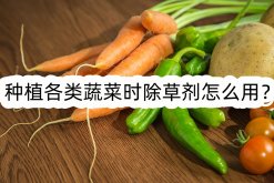 <strong>种植各类蔬菜时除草剂怎么用？</strong>