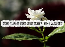 <strong>茉莉毛尖是绿茶还是花茶？有什么功效？</strong>