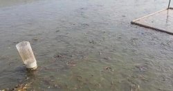养殖泥鳅鱼的投资成本一般是多少，养殖泥鳅鱼的方法是什么