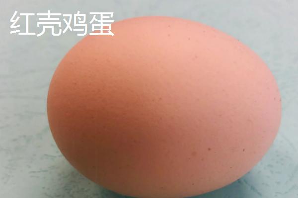 白壳鸡蛋是什么鸡下的 白壳鸡蛋营养价值是多少