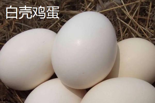 白壳鸡蛋是什么鸡下的 白壳鸡蛋营养价值是多少