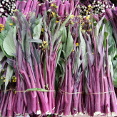 <strong>秋冬御寒食物首选的三种红色蔬菜</strong>