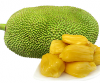 <strong>菠萝蜜的营养价值</strong>