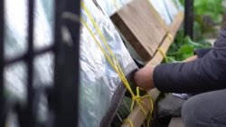 <strong>冬天种菜的小暖棚，3分钟一人搞定，经济实惠效果好</strong>