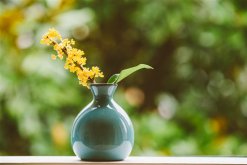 <strong>什么季节适合栽培桂花，桂花种植和播种的方法有哪些</strong>