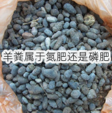 <strong>羊粪属于氮肥还是磷肥</strong>