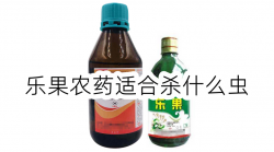 <strong>乐果农药适合杀什么虫</strong>