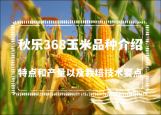 <strong>秋乐368玉米品种的特点和产量以及栽培技术要点</strong>