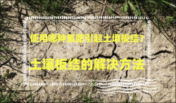 <strong>使用哪种氮肥引起土壤板结？土壤板结的解决方法</strong>