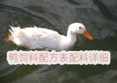 <strong>鸭饲料配方表配料详细</strong>