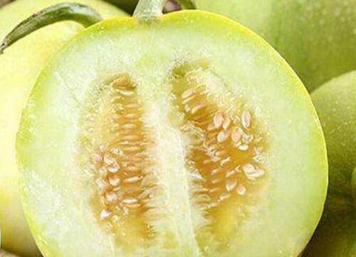 香瓜种子催芽方法