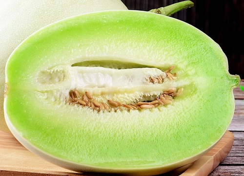 香瓜种子催芽方法