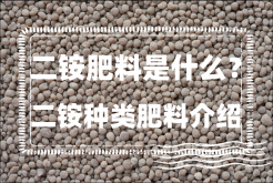 <strong>二铵肥料是什么？二铵种类肥料介绍</strong>