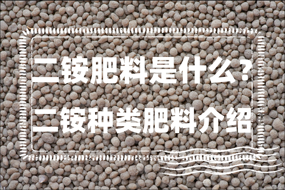 二铵肥料是什么?二铵种类肥料介绍