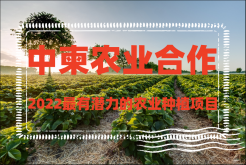 2022最有潜力的农业种植项目——中柬农业合作