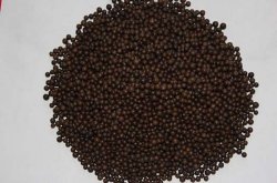 用无机肥培养的果树能食用吗、能不能吃