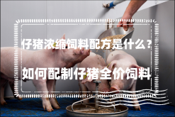 <strong>仔猪浓缩饲料配方是什么？如何配制仔猪全价饲料</strong>