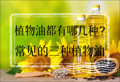 <strong>植物油都有哪几种？常见的三种植物油</strong>