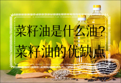 菜籽油是什么油？菜籽油的优缺点