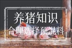 <strong>怎样选择预混料？养猪知识-合理选择预混料</strong>
