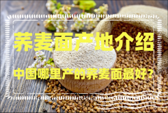 <strong>中国哪里产的荞麦面最好？荞麦面产地介绍</strong>