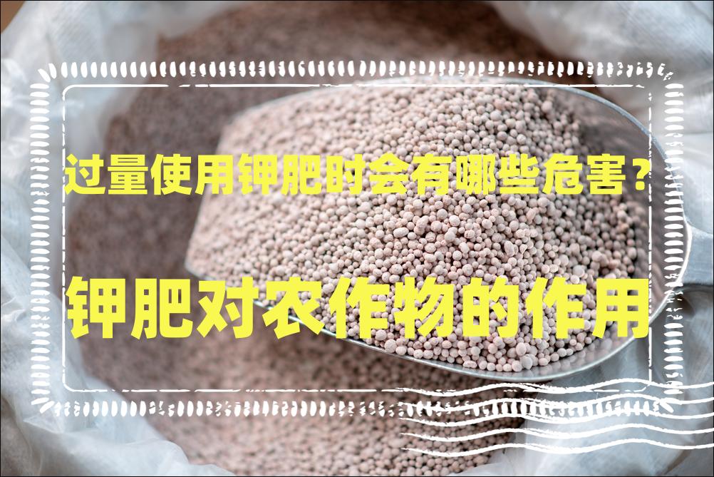 过量使用钾肥时会有哪些危害？钾肥对农作物的作用