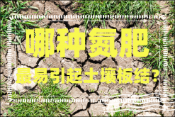 <strong>哪种氮肥最易引起土壤板结？</strong>