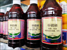 <strong>辛硫磷怎样使用？辛硫磷杀虫的具体使用方法</strong>