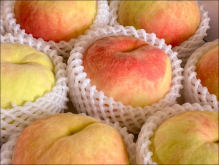 苹果桃是什么品种？桃子品种介绍