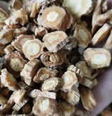 <strong>防风种子种植最佳时间是什么时候？防风种子怎么种好？</strong>