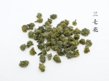 <strong>三七花是什么花？有什么副作用？</strong>