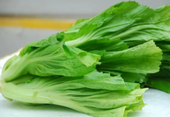 <strong>芥菜有哪些特点？有哪些品种</strong>