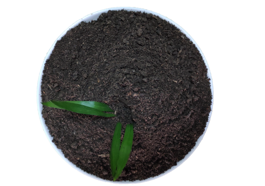 鸡粪泡水两三天可以浇菜吗?如何使用?