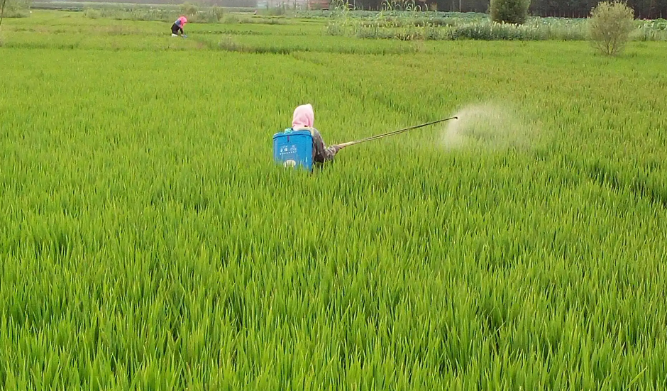 氯溴异氰尿酸的作用是什么？