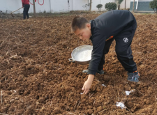 含腐植酸叶面肥有哪些分类？分别有哪些特点？