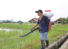 <strong>微生物有机肥料使用注意事项？</strong>