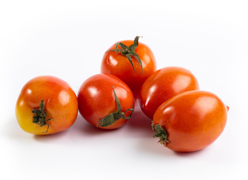 处暑之后种植番茄有什么种植技巧？