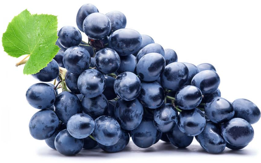 蓝莓葡萄是什么品种？是哪里的特产？