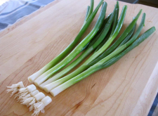 <strong>大葱的生长习性和种植时间</strong>