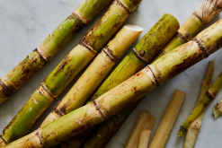 <strong>种植甘蔗用什么肥料最好?</strong>