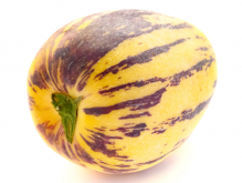 <strong>人参果几年挂果？种植人参果的条件？</strong>