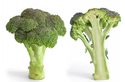 <strong>西兰花的种植条件和管理技术</strong>