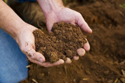<strong>生物肥和有机肥在农业上的区别?有哪些用途？</strong>