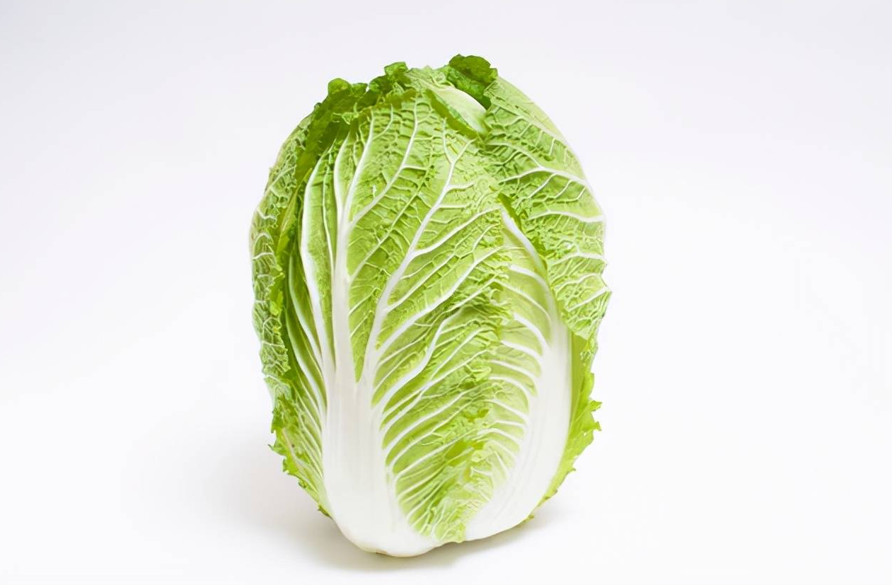 小白菜和大白菜有哪些不同?