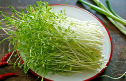 <strong>自己怎么发豌豆苗？</strong>