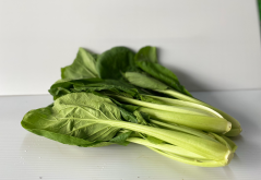 <strong>油菜高产的品种和种植技术</strong>