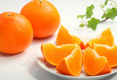 <strong>柑橘蓟马虫害症状和防治</strong>