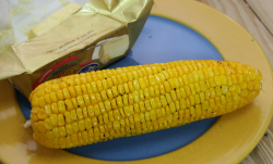 <strong>良玉99夏播特征产量</strong>