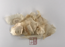 <strong>木蝴蝶是什么植物？有哪些特点？</strong>