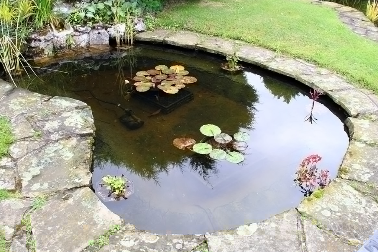 水产养殖中，池塘水pH值的重要性